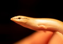 DSC_1201.jpg