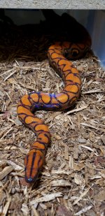 20201211_164833.jpg