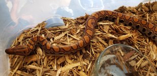 20210530_201806.jpg