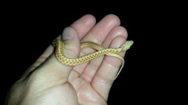 thumbnail_20211004_200314.jpg
