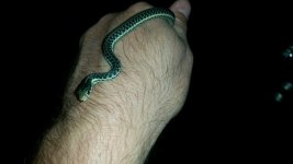 thumbnail_20210929_205310.jpg