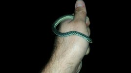 thumbnail_20210929_205244.jpg