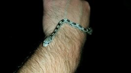 thumbnail_20211004_202441.jpg