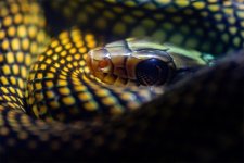 F0FC62C6-B487-4DF8-8BF2-2AE4A931DD04.jpg