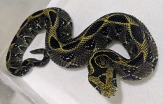 IMG_20201104_205340~2.jpg