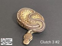 96C9929C-FC6E-45B2-88E4-96FB8CE2AF5D.jpg