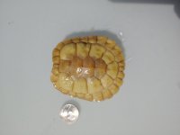 0511211052a.jpg