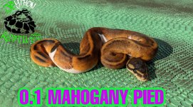 PicsArt_10-06-10.29.26.jpg