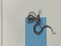 24ED6547-4E28-4AB1-BB24-9F973DCEA97E.jpg