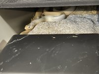 36FD20C2-AF90-4E8D-8B41-C314D3703B83.jpg