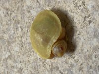 IMG_7821.jpg