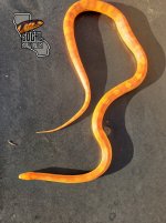 20210825_174859.jpg