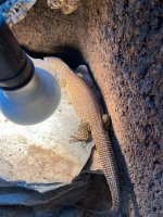 thumbnail (16).jpg