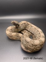 40DFA631-0AB9-4AB9-BA04-6DEA77F24F6E.jpg