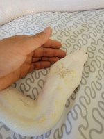 thumbnail_20210624_180354.jpg