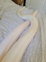 thumbnail_20210624_180416.jpg