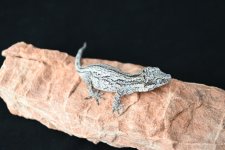 DSC_1205.jpg