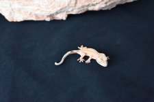 DSC_1149.jpg