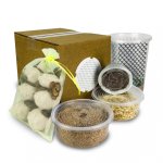 bearded_dragon_feeder_bundle_josh_s_frogs_1.jpg