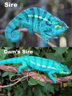 GaryLazerEyesxFernandoClutchPhoto.jpg