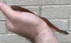 IMG_3362.jpg