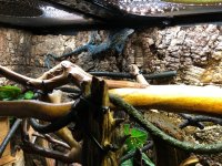 blue_052821_5.jpg