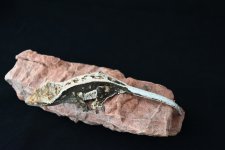 DSC_1375.jpg