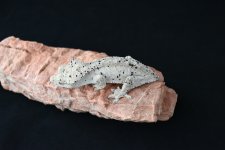 DSC_1360.jpg