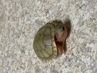 IMG_7829.jpg
