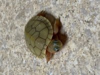 IMG_7828.jpg