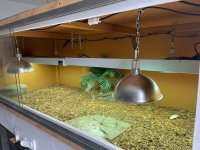enclosure 3.jpg