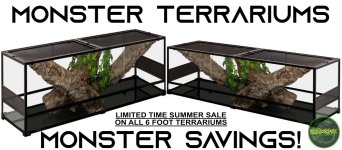 Monsterterrariumsmonstersavingsslider.jpg