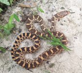 PXL_20210829_231831750~2.jpg