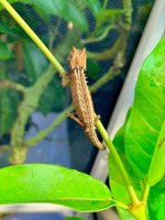 IMG_7694.jpg