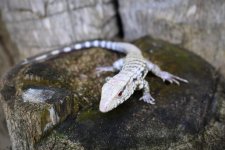 DSC_3176.jpg