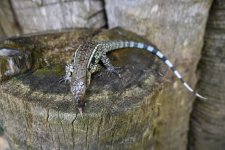DSC_3166.jpg