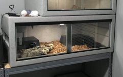 009A5BEF-FBBD-4DA2-B9D4-2DA53D3C4FD5.jpg