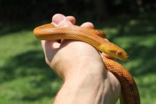 IMG_7954.jpg