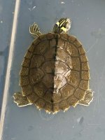 IMG_3134.jpg