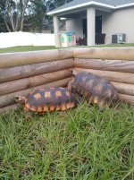 IMG_20201121_162304856.jpg