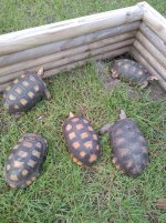 IMG_20201121_161843340.jpg