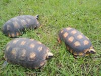 IMG_20201121_161702606.jpg