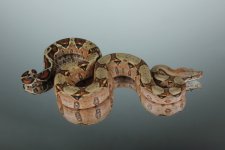 IMG_9892.jpg