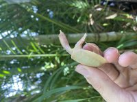 IMG_1484.jpg