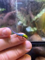 IMG_0361.jpg