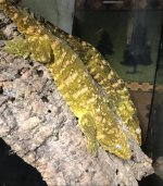 20201125_203354.jpg