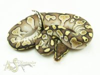 LesHSun20-02m.jpg