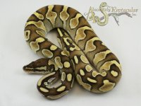LesHSun20-03m.jpg