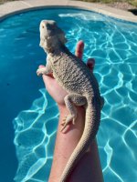 0.1 Hypo Zero- 6months.jpg
