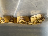 IMG_0396.jpg